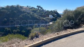 For sale plot in El Rosario