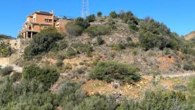 For sale plot in El Rosario