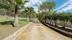 Finca for sale in Ronda