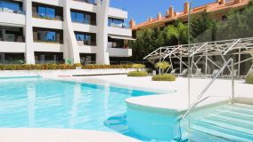 Buy apartment in Carib Playa