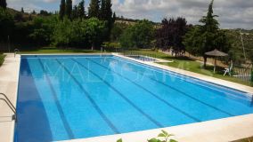 Commercial for sale in Ronda