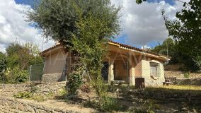 Commercial for sale in Ronda