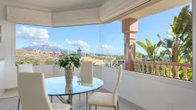 Villa zu verkaufen in Los Flamingos, Benahavis