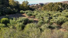 Grundstück zu verkaufen in Puerto del Almendro, Benahavis