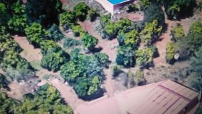 Villa for sale in El Padron, Estepona