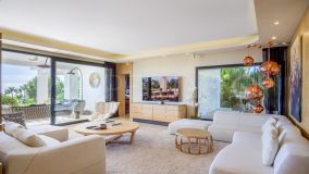 Buy villa with 7 bedrooms in Sierra Blanca