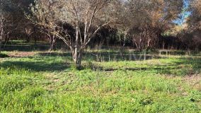 Plot for sale in Cartama