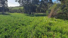 Plot for sale in Cartama