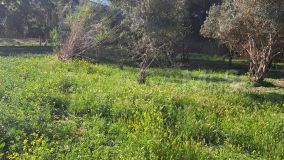Plot for sale in Cartama