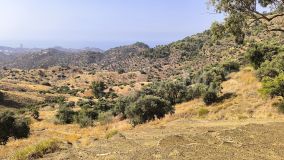 Grundstück zu verkaufen in Pinares de San Antón, Malaga - Este