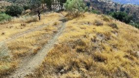 Plot for sale in Pinares de San Antón, Malaga - Este