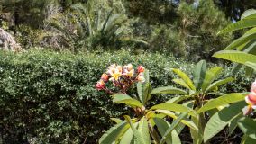 Casa en venta en Carretera de Istan