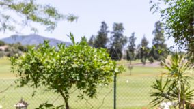 Ground Floor Apartment for sale in Mijas Golf, Mijas Costa