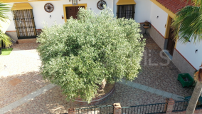 Finca zu verkaufen in Monda