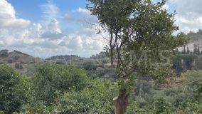 Finca for sale in Coin