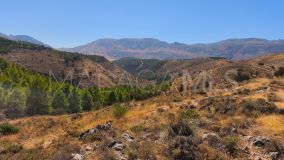 Grundstück zu verkaufen in Antequera