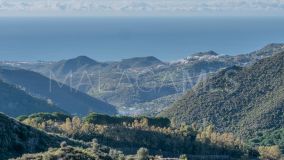 Parcela en venta en Ojen