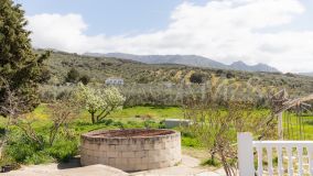 Finca for sale in Antequera