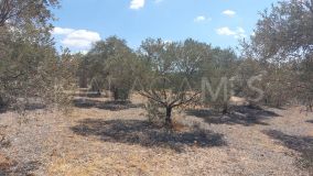 Terrain for sale in Alora