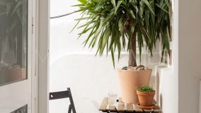 Atico Duplex en venta en Malaga