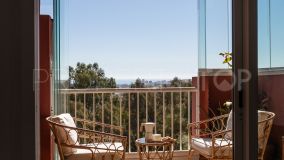 For sale 2 bedrooms duplex penthouse in Los Pacos