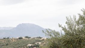 For sale finca in Guaro with 3 bedrooms