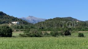 Plot in Consell for sale