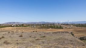 Plot for sale in Coin