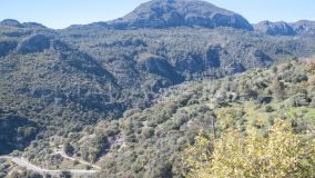 Finca for sale in Casares