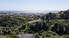 Finca en venta en Estepona