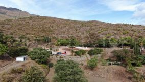 Charming finca for sale ideal for horses, with sea and mountains views, located in Andalusia, Estepona, Costa del Sol, near Marbella, Puerto Banús and the beach