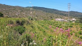 Rare and unique opportunity to purchase a prime plot of land in Les Fonts