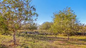 Plot for sale in Parcent