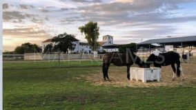 Cortijo for sale in Mollina