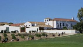 Cortijo for sale in Mollina