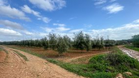 Plot for sale in Mollina