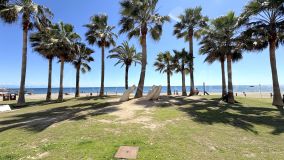 Disco zu verkaufen in Fuengirola Centro