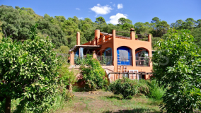 Finca for sale in Istan