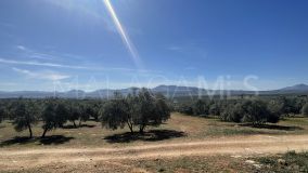 Terrain for sale in Mollina