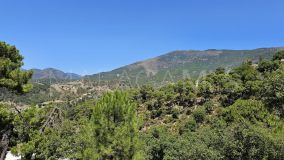 Plot for sale in La Zagaleta, Benahavis