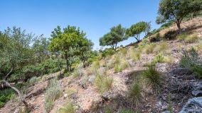 Terrain for sale in La Zagaleta, Benahavis