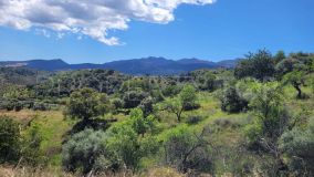 For sale Monda plot