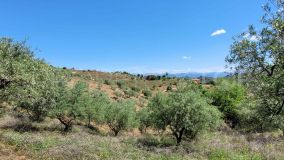 For sale Monda plot