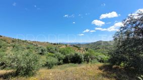 For sale Monda plot