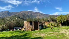 Terrain for sale in Los Reales - Sierra Estepona, Altos de Estepona