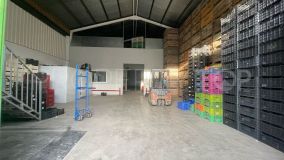 1 bedroom industrial premises in Poligono Industrial for sale