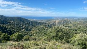 Plot for sale in Los Reales - Sierra Estepona, Altos de Estepona