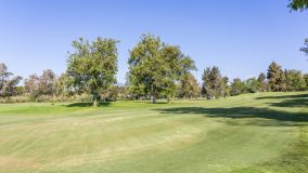 Terrain for sale in Guadalmina Baja, San Pedro de Alcantara
