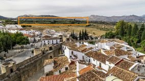 Finca en venta en Ronda