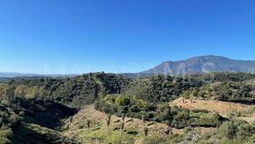 Parcela en venta en Selwo, Estepona Este